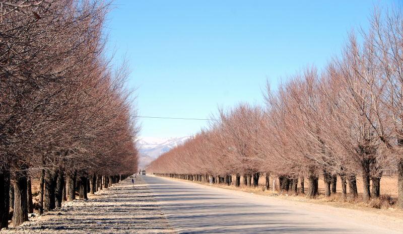 1183-阿巴庫-郊區.景觀道路.JPG