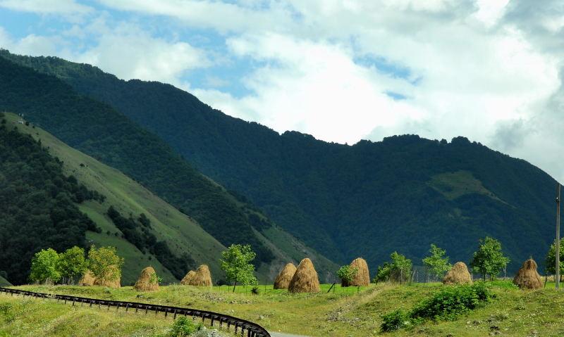 9006-古道力-周邊景觀.JPG