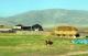 10.卡爾斯市(Kars)