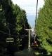 17.維多莎山-纜車之旅(下)_Sofia, Mount Vitosha_2