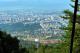 17.維多莎山-纜車之旅(下)_Sofia, Mount Vitosha_2