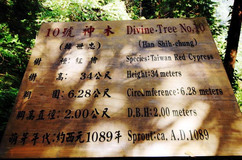 121-棲蘭神木園-10號(韓世忠)神木