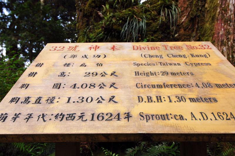 188-棲蘭神木園-32號(鄭成功)神木