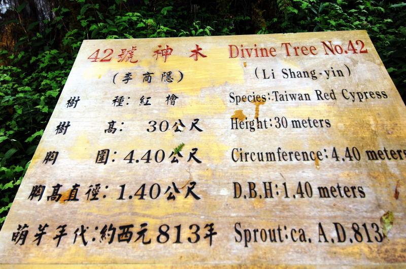 207-棲蘭神木園-42號(李商隱)神木