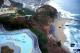 1.太陽郵輪飯店與旅遊心得＿Sun Cruise Resor