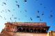 45-琥珀堡(上)_Amber Fort_01