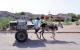 27.荷台達(下)_ Hodeidah-3