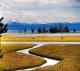 3.黃石公園-路程的車拍照片_Yellow Stone National Park_03