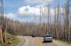 3.黃石公園-路程的車拍照片_Yellow Stone National Park_03