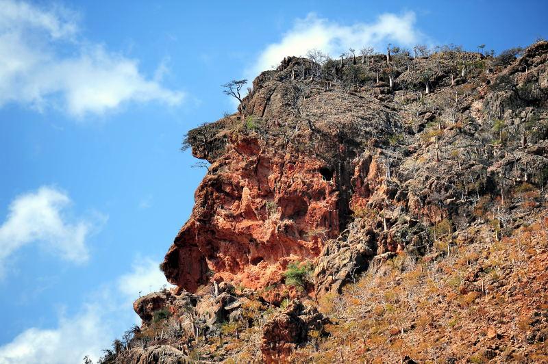 3902-龍血島-老人臉山.JPG