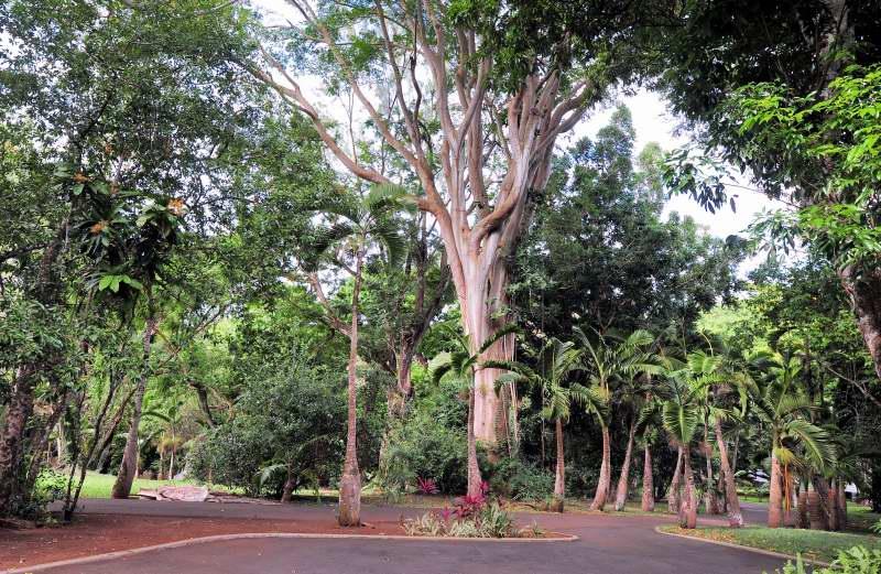 400-SSR植物園