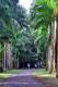 05.SSR植物園與象龜保育園_Sir Seewoosagur Ramgoolam Botanical Garden