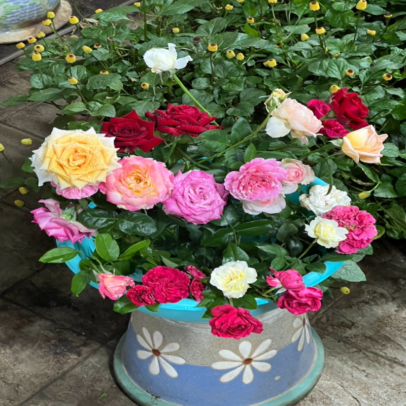 6月1日