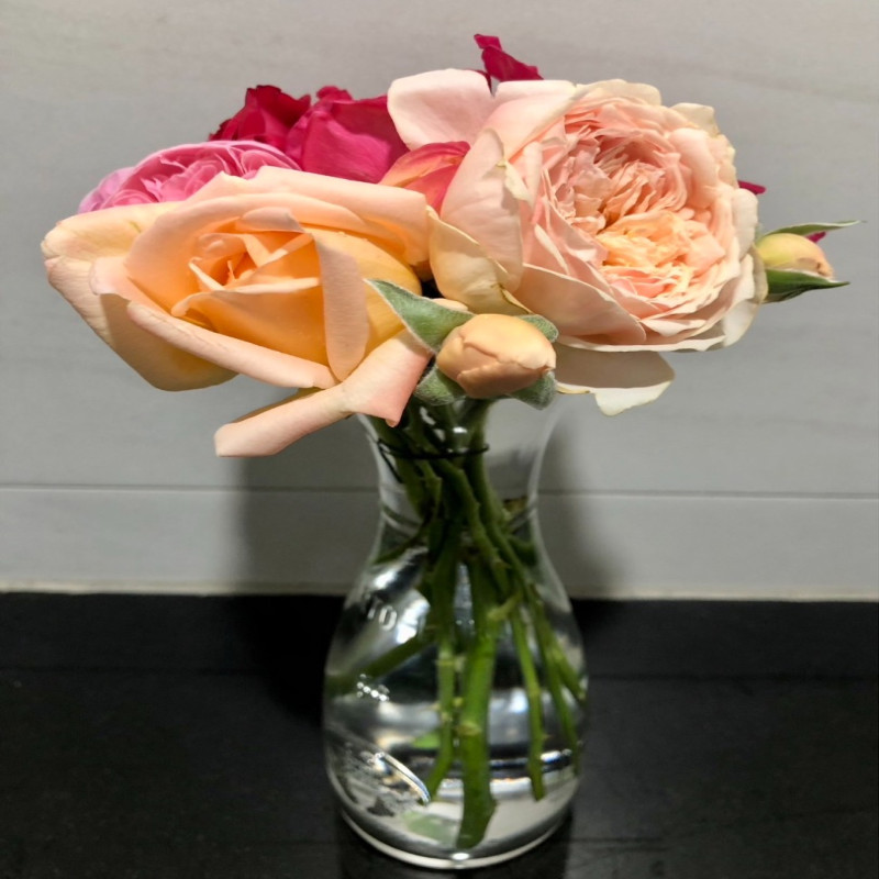 6月1日