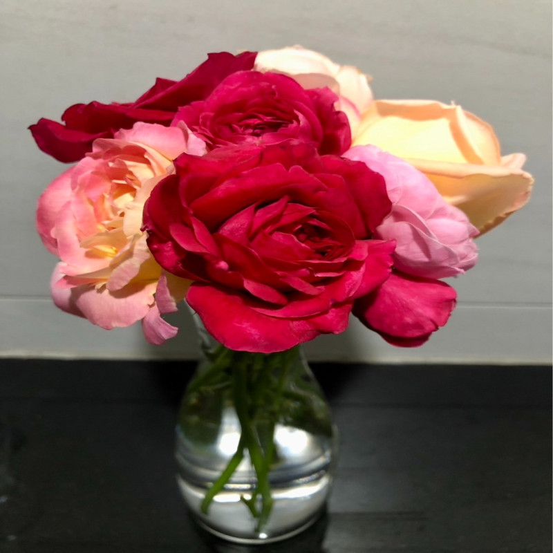 6月1日