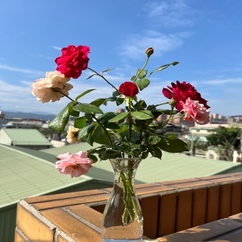 6月6日