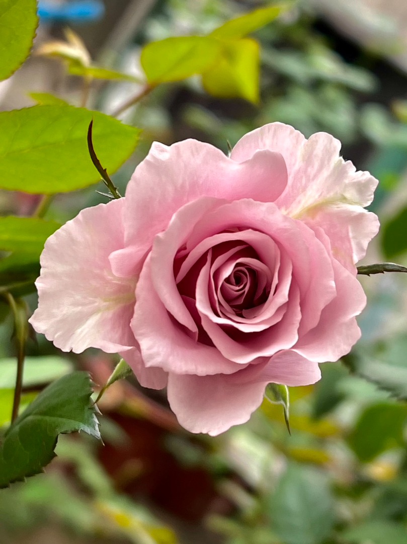 6、銀色光芒