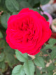 3月10日