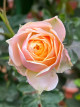 3月10日