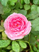 3月10日