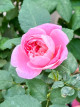 3月10日