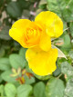 3月10日